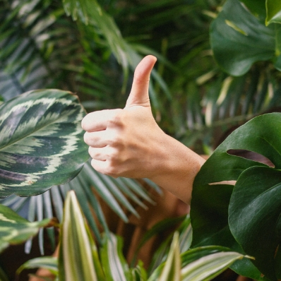 We send you a proof that you can approve before we send you your frame.